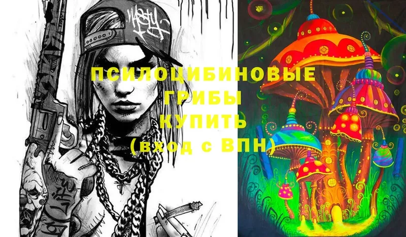 Галлюциногенные грибы Magic Shrooms  Богородицк 